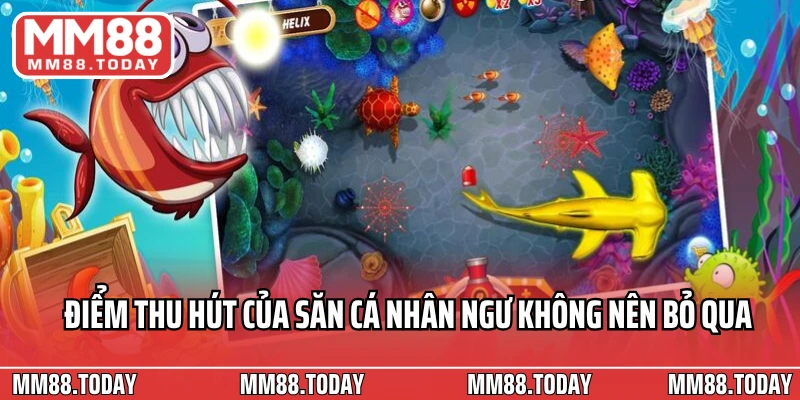 Điểm thu hút của săn cá nhân ngư không nên bỏ qua